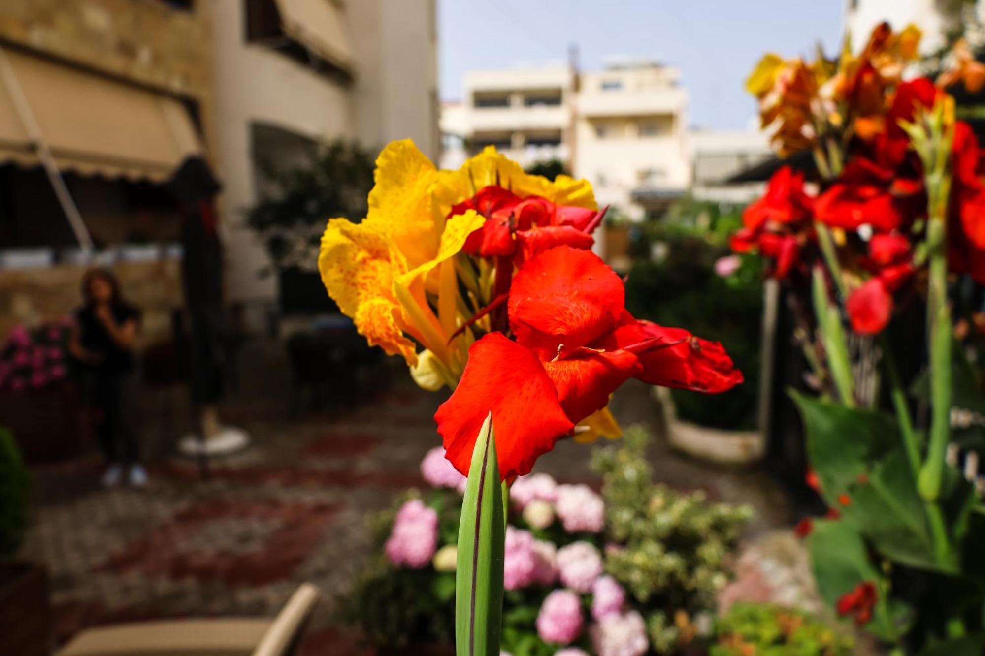 Vila Zhiti Dıraç Dış mekan fotoğraf
